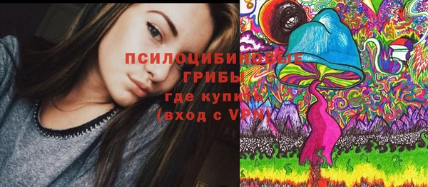 бошки Армянск