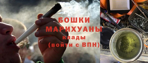 шишки Арсеньев